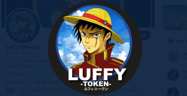 Luffy Coin Yorum